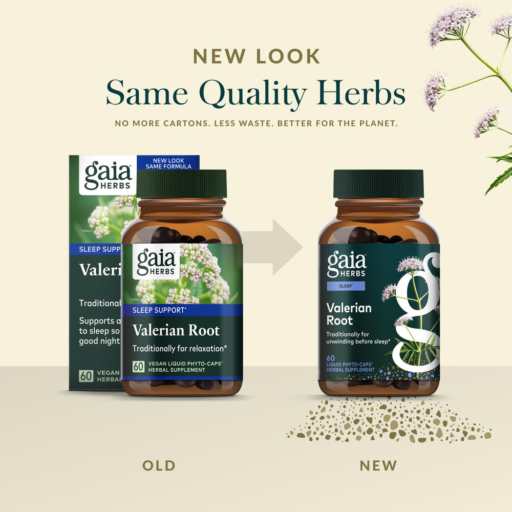 Valerian Root capsules in hand, easy daily use option from Gaia Herbs