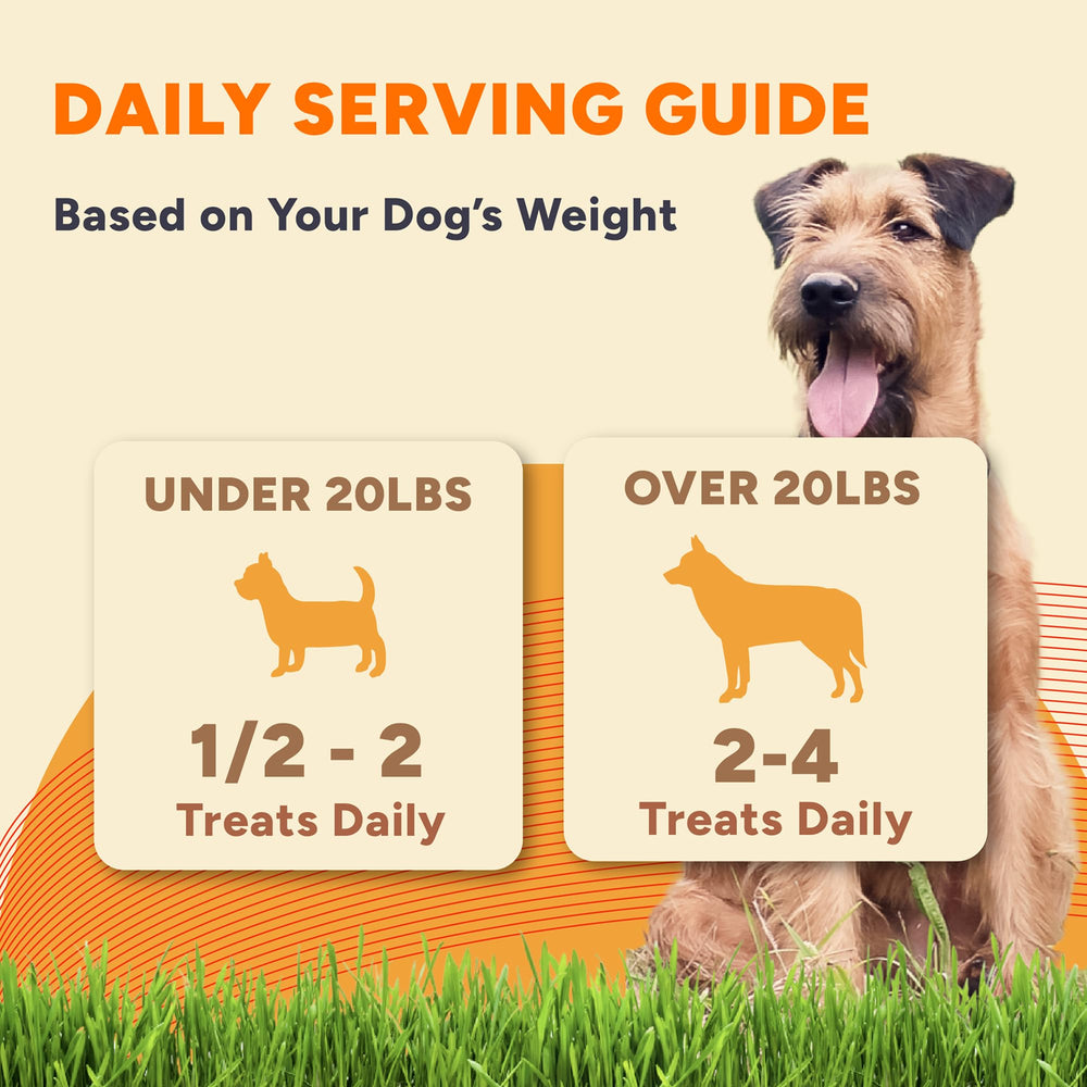 Dogs of different sizes chewing Gaines Family Farmstead Sweet Potato Dog Bones