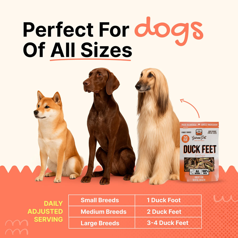 Gaines Duck Feet grain-free chews: suitable for dogs with grain sensitivities.