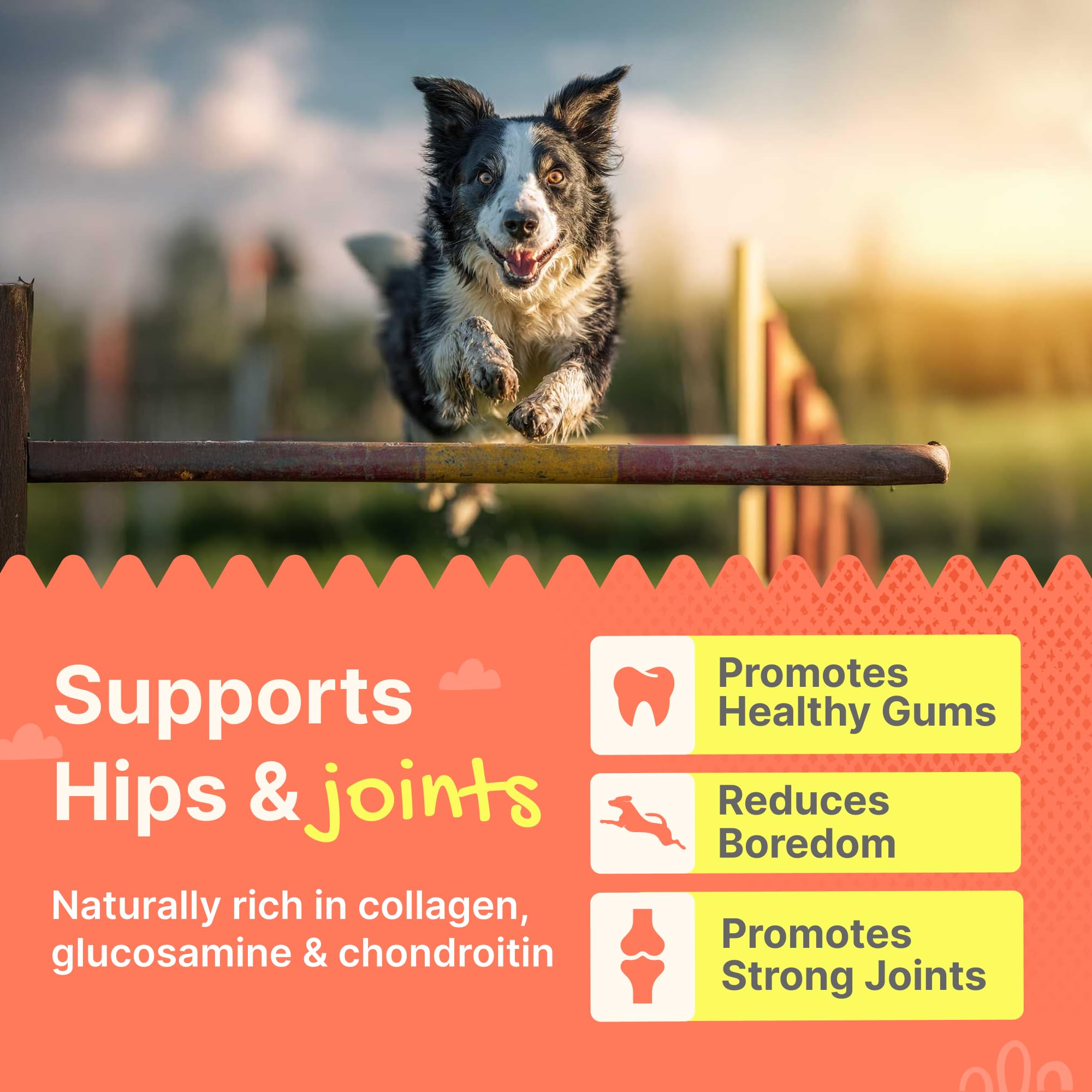 Gaines Duck Feet training treat: high-protein, satisfying crunch for positive reinforcement.