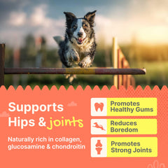Gaines Duck Feet training treat: high-protein, satisfying crunch for positive reinforcement.