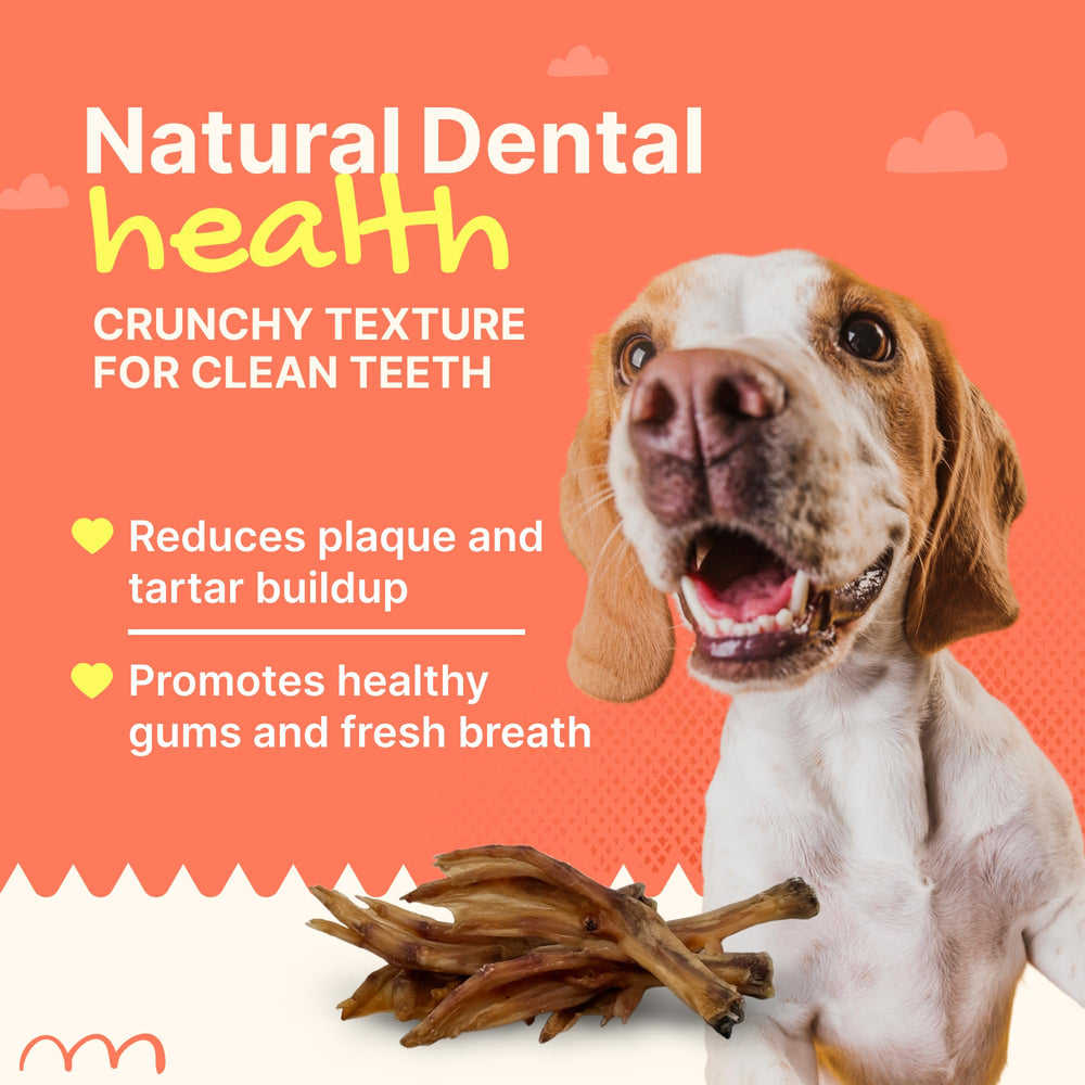Gaines Duck Feet USA-made chews: wholesome, single-ingredient treats for dogs.