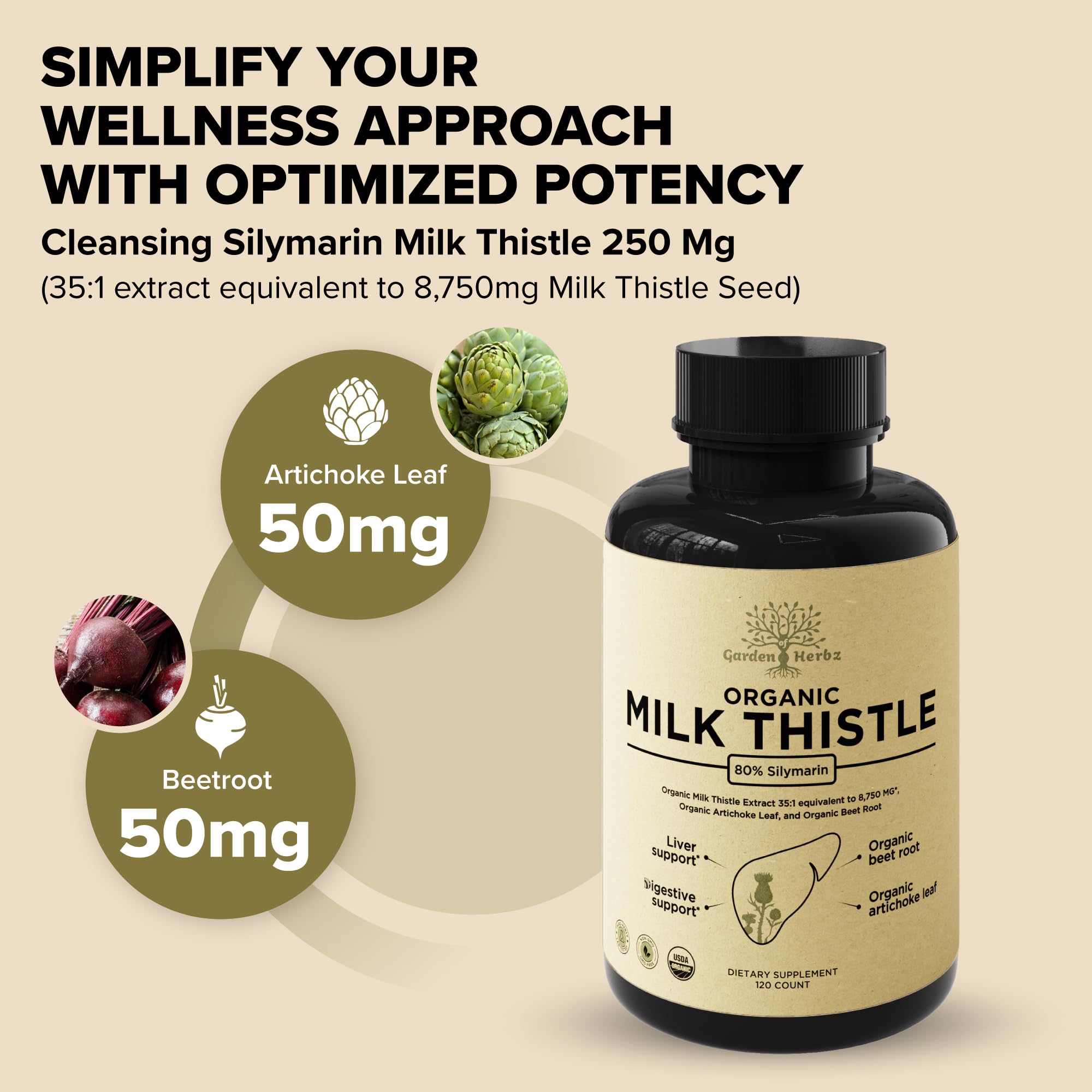 Garden of Herbz artichoke extract plant illustration highlighting digestive support
