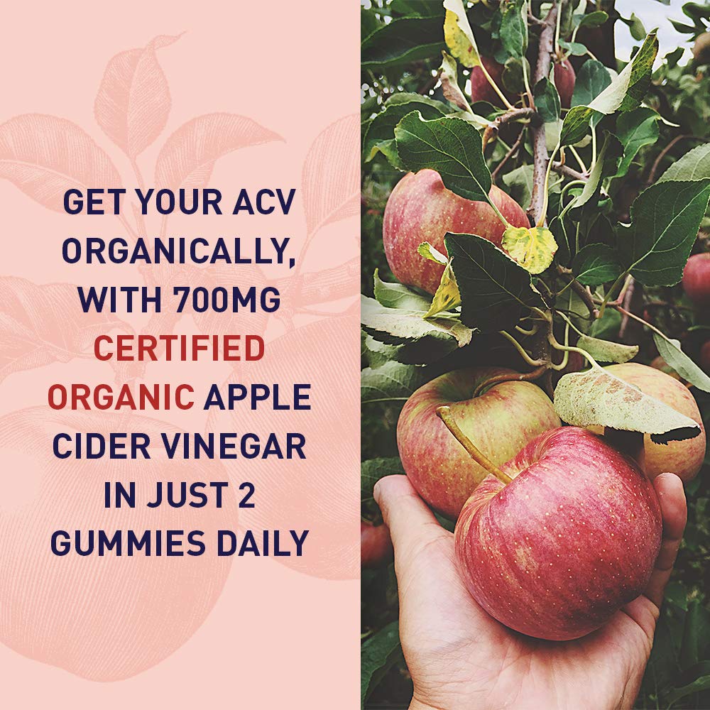 Garden of Life ACV Probiotic Gummies bottle side highlights probiotic support.