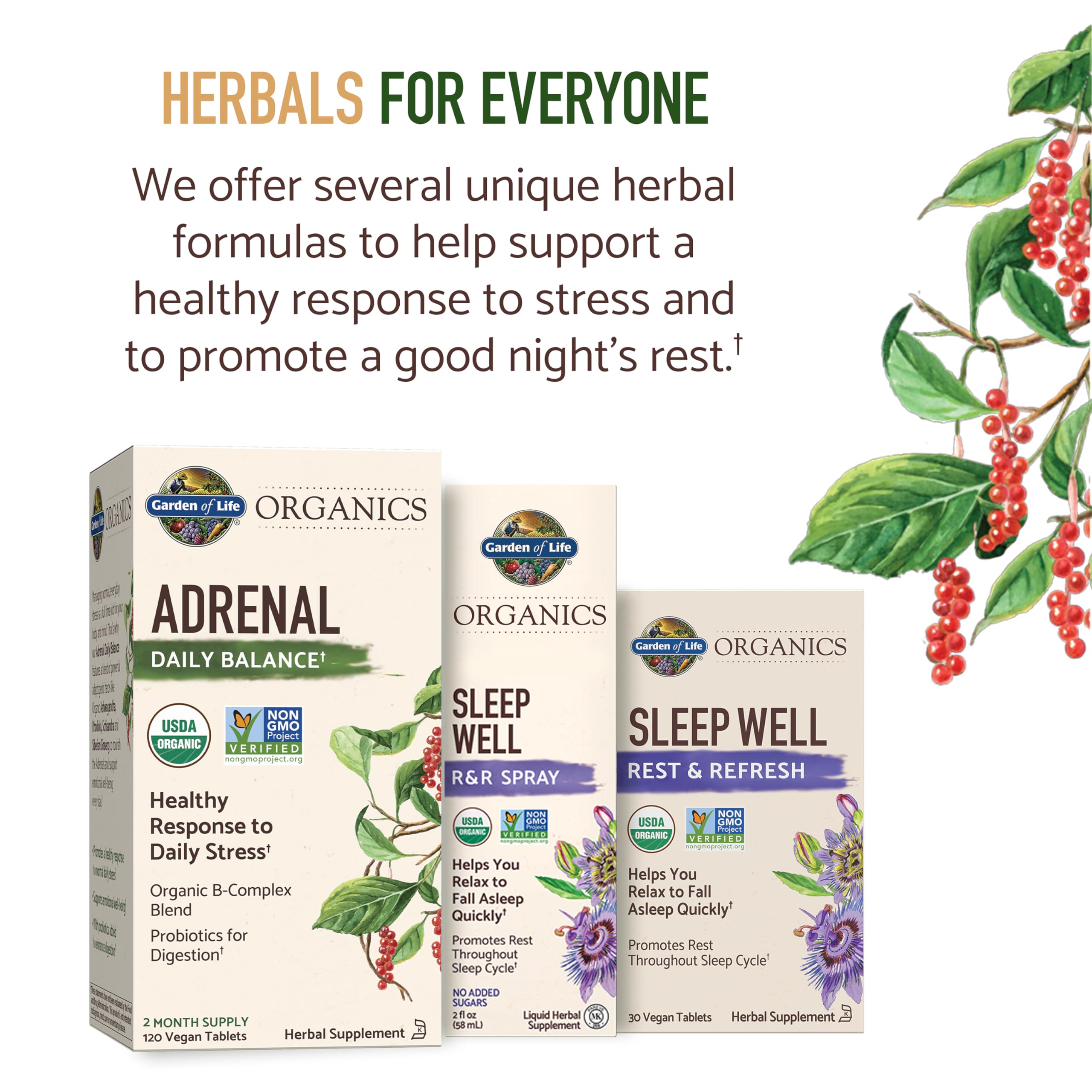 Garden of Life Adrenal Daily Balance probiotic complex aiding digestion.