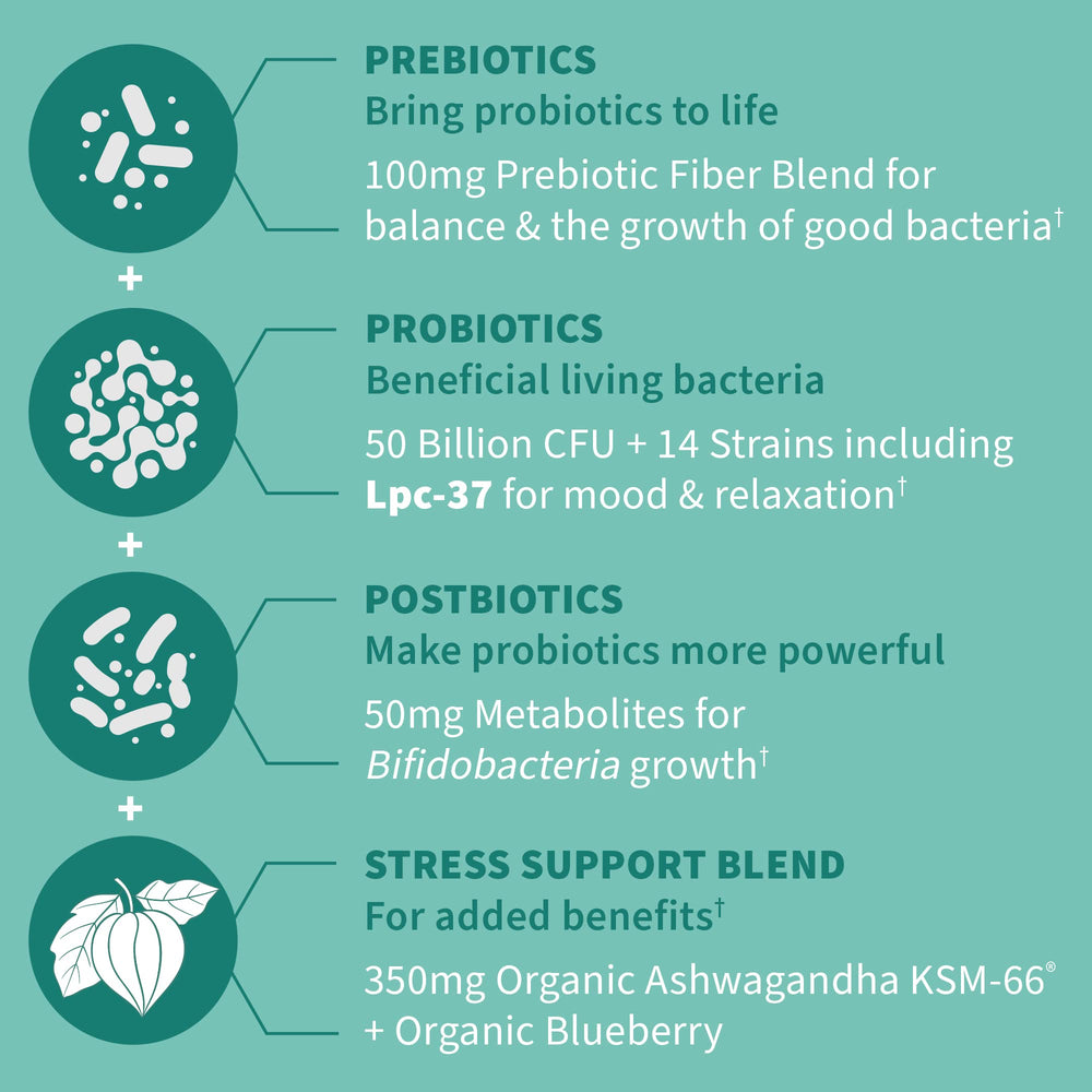 Garden of Life Calm prebiotics and postbiotics visual graphic for digestive health.