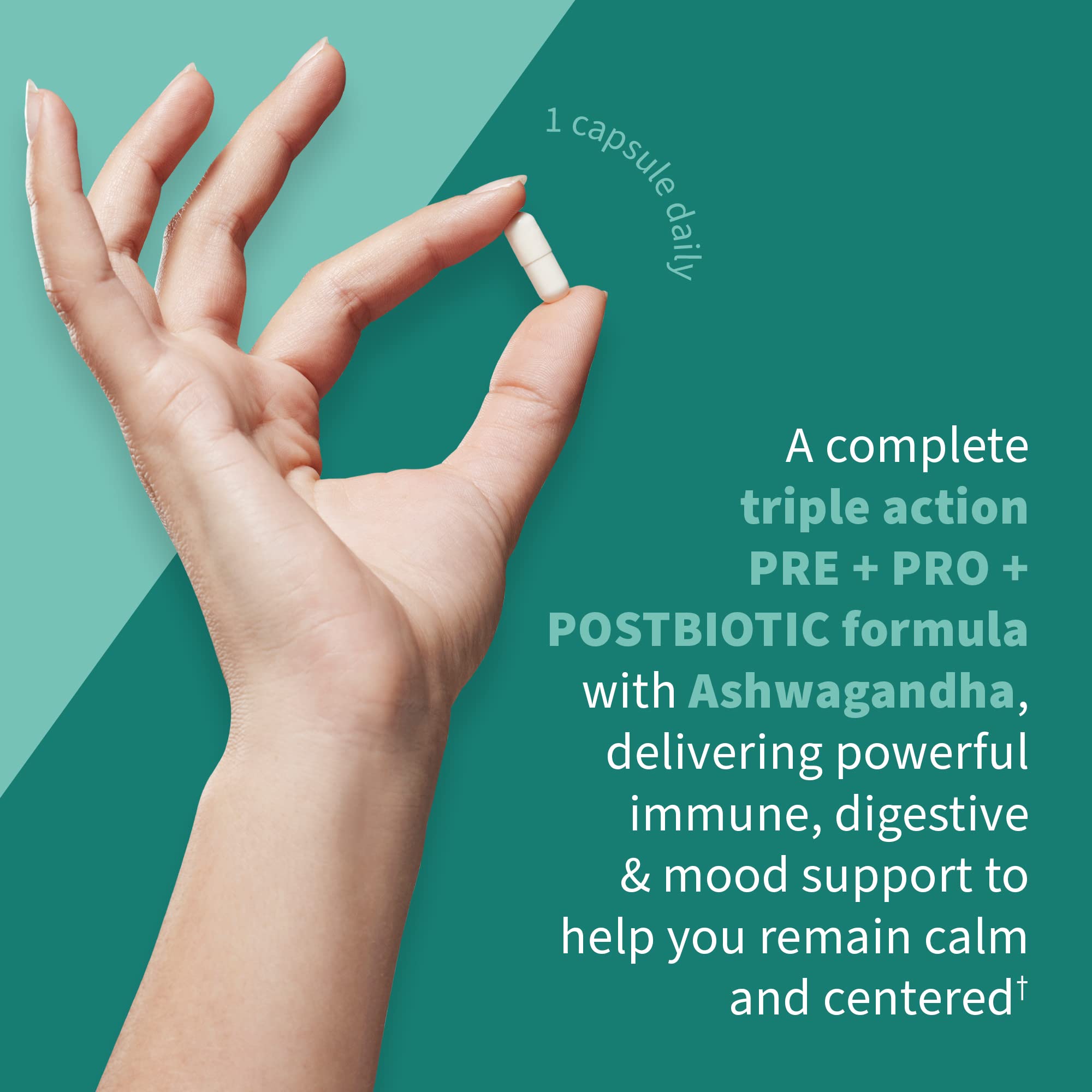 Garden of Life Calm probiotic-ashwagandha blend illustration with botanicals for calm support.