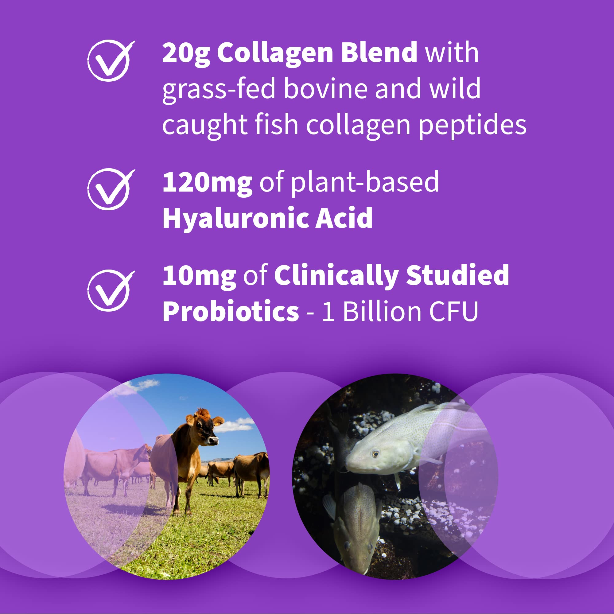 Garden of Life collagen smoothie-serve illustrates versatile daily use.