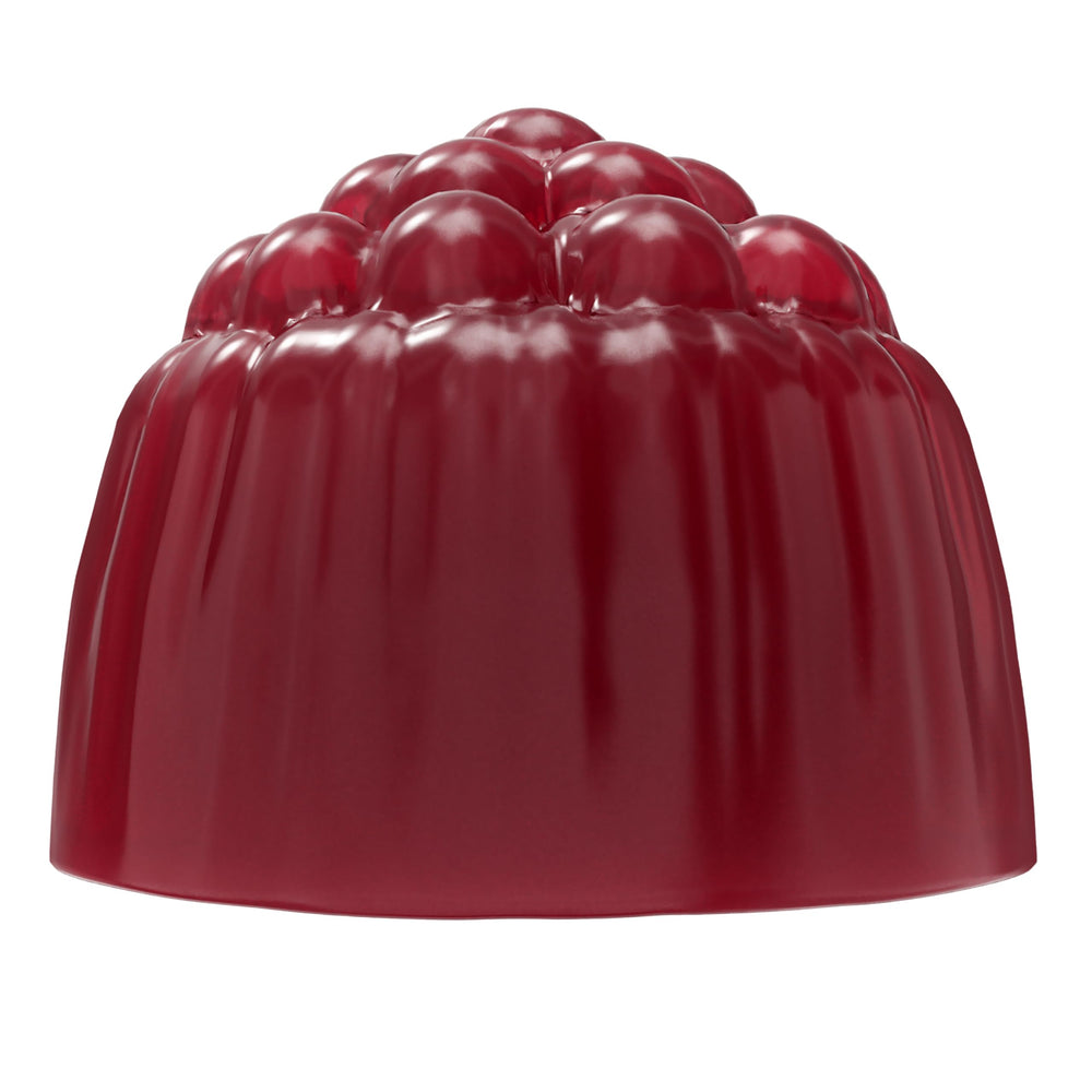 Travel-friendly Garden of Life Dr Formulated gummies in compact bottle for routines.