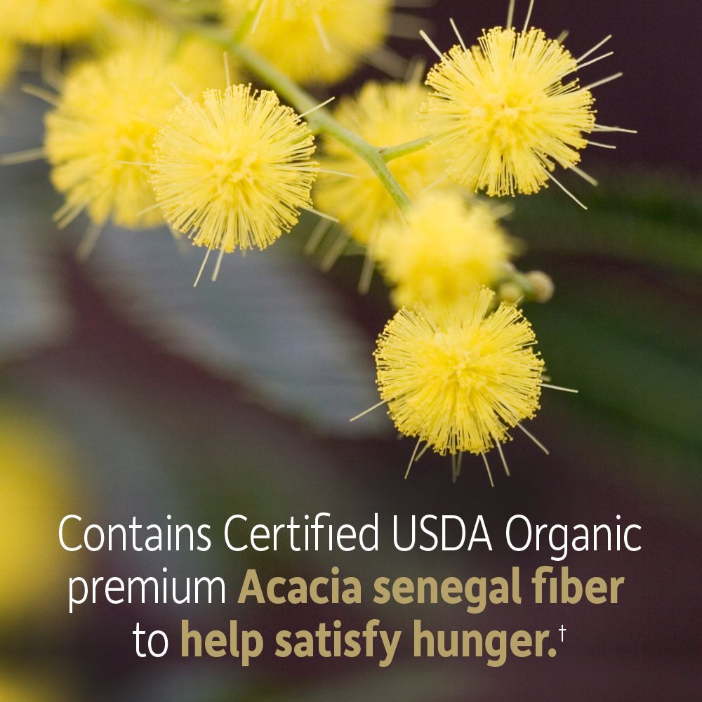 Garden of Life Dr. Formulated Organic Fiber powder in a glass of water for a quick boost.