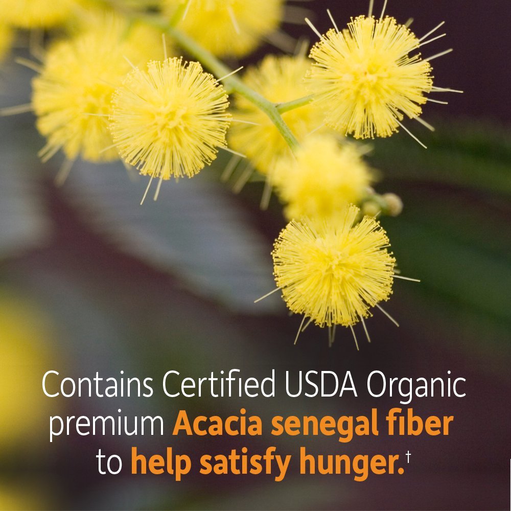 Garden of Life Dr. Formulated Organic Fiber Powder stirred into water for a refreshing beverage