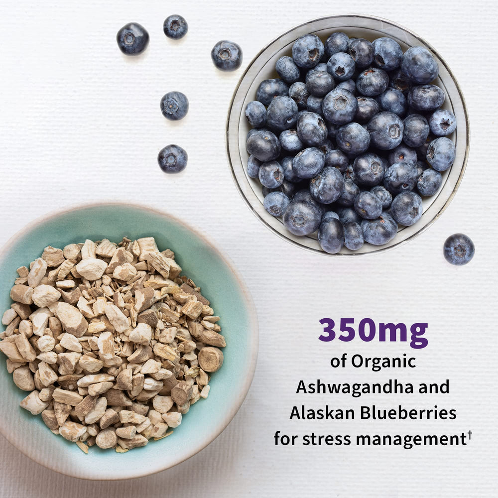 Illustration of 16 probiotic strains on Mood+ packaging