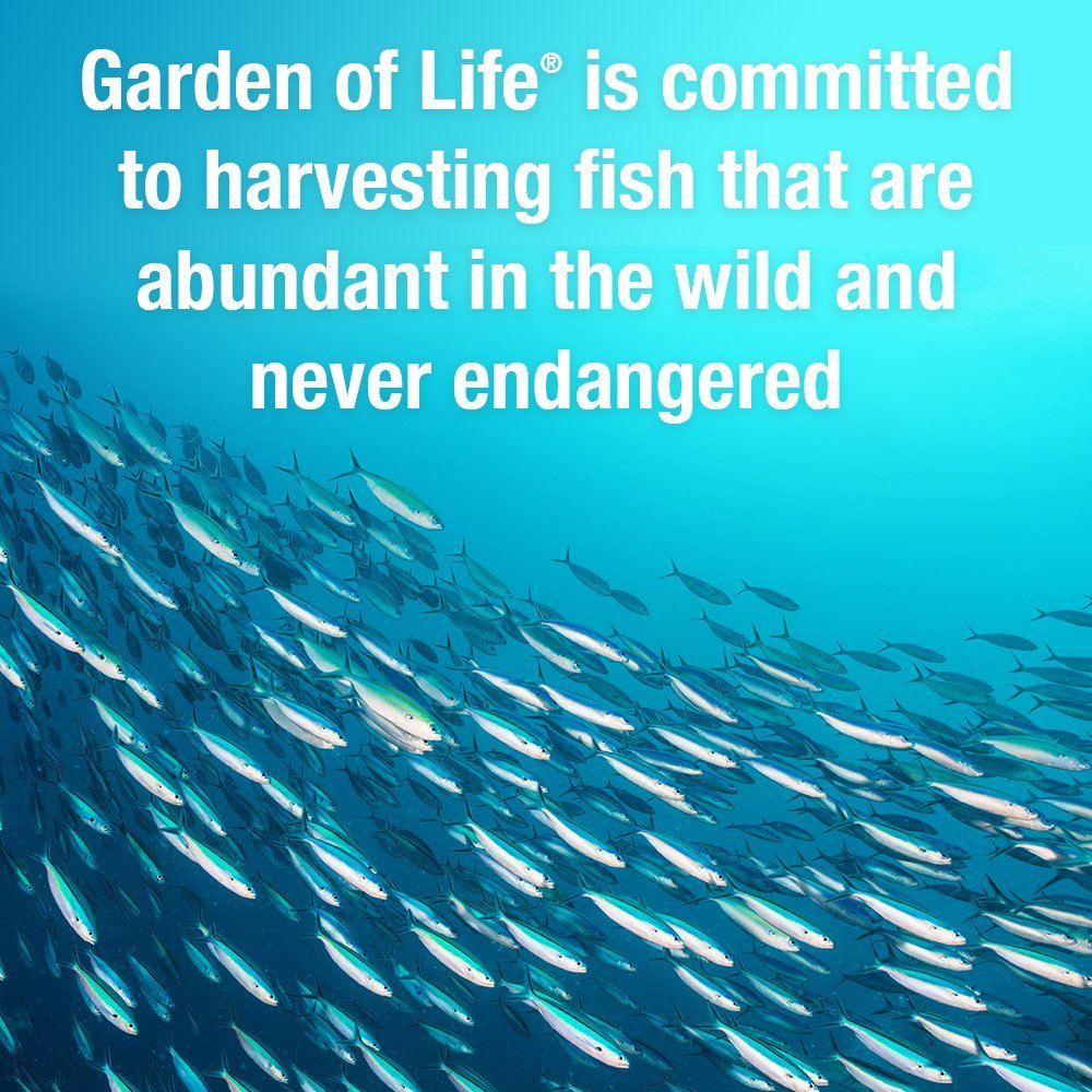 Garden of Life Oceans 3 no-fish-taste feature signals appeal to sensitive palates.