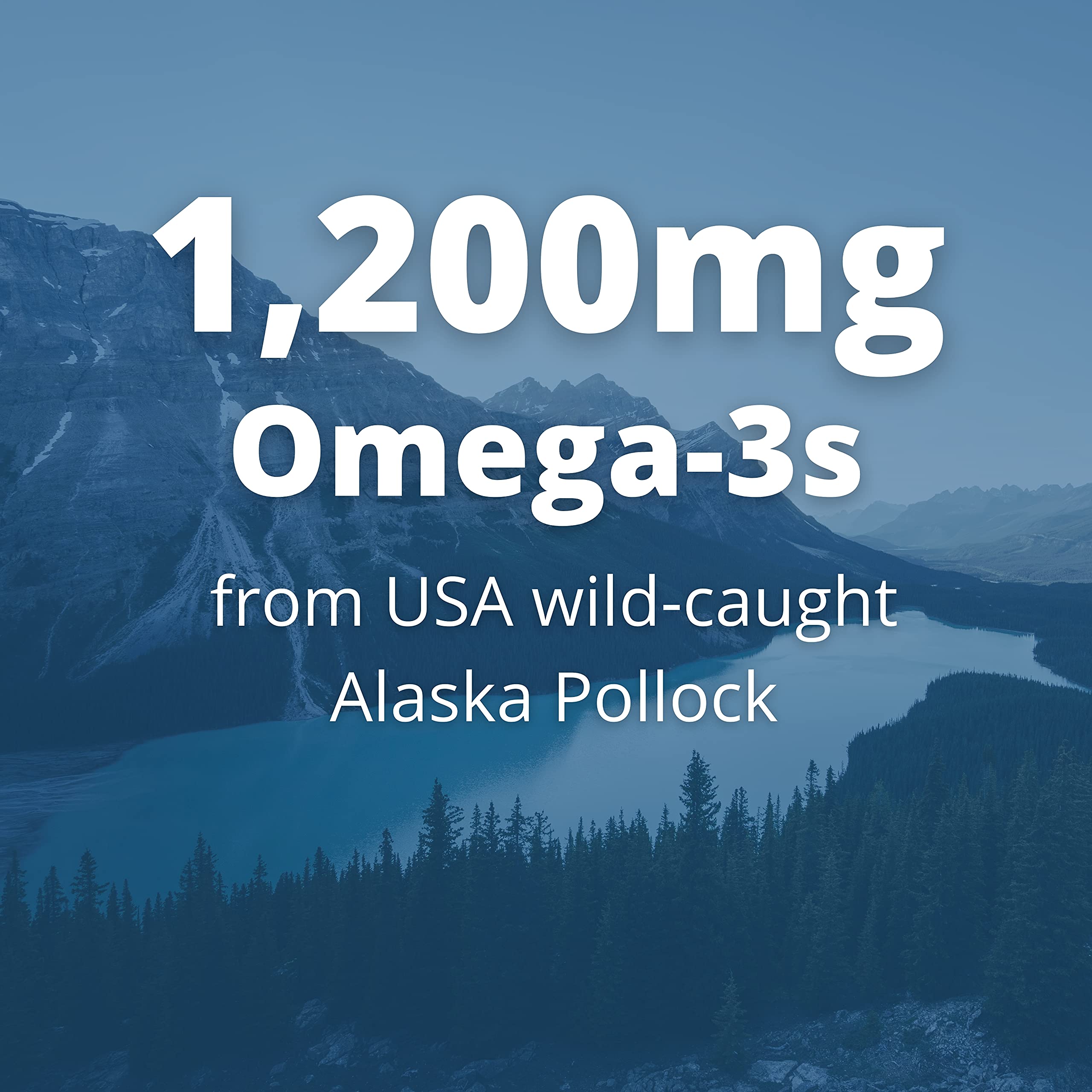 Garden of Life Oceans 3 omega-xanthin emphasis supports antioxidants with astaxanthin and brown seaweed extract.