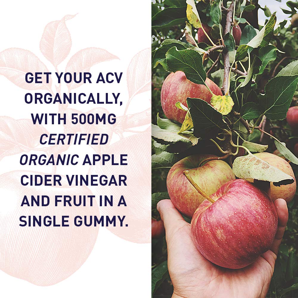 Closeup of Garden of Life Organics ACV Gummies showing texture and color