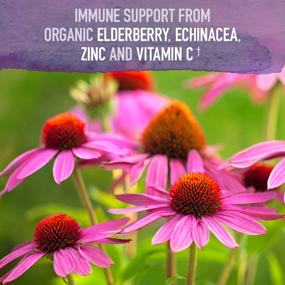 Garden of Life Organics elderberry echinacea guava close-up of core ingredients