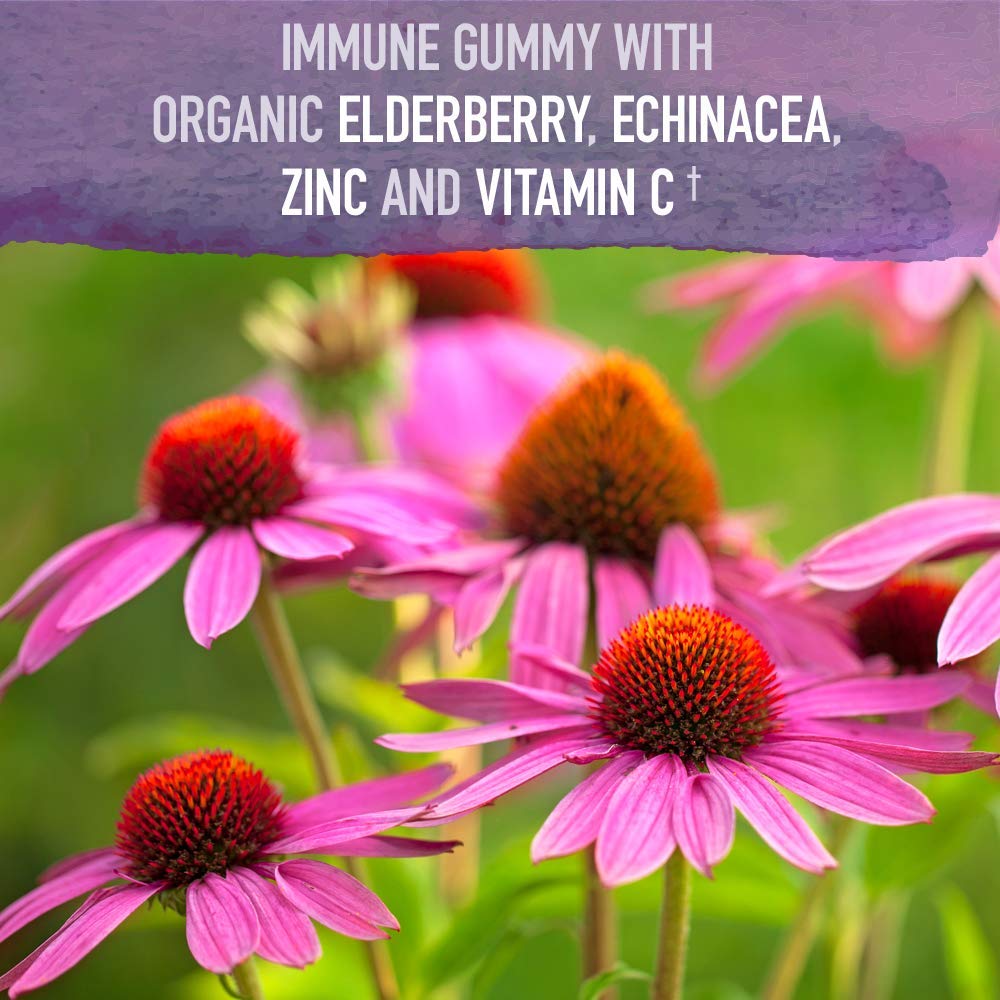 Garden of Life Organics Elderberry Gummies bottle closeup with vegan, gluten-free labeling.