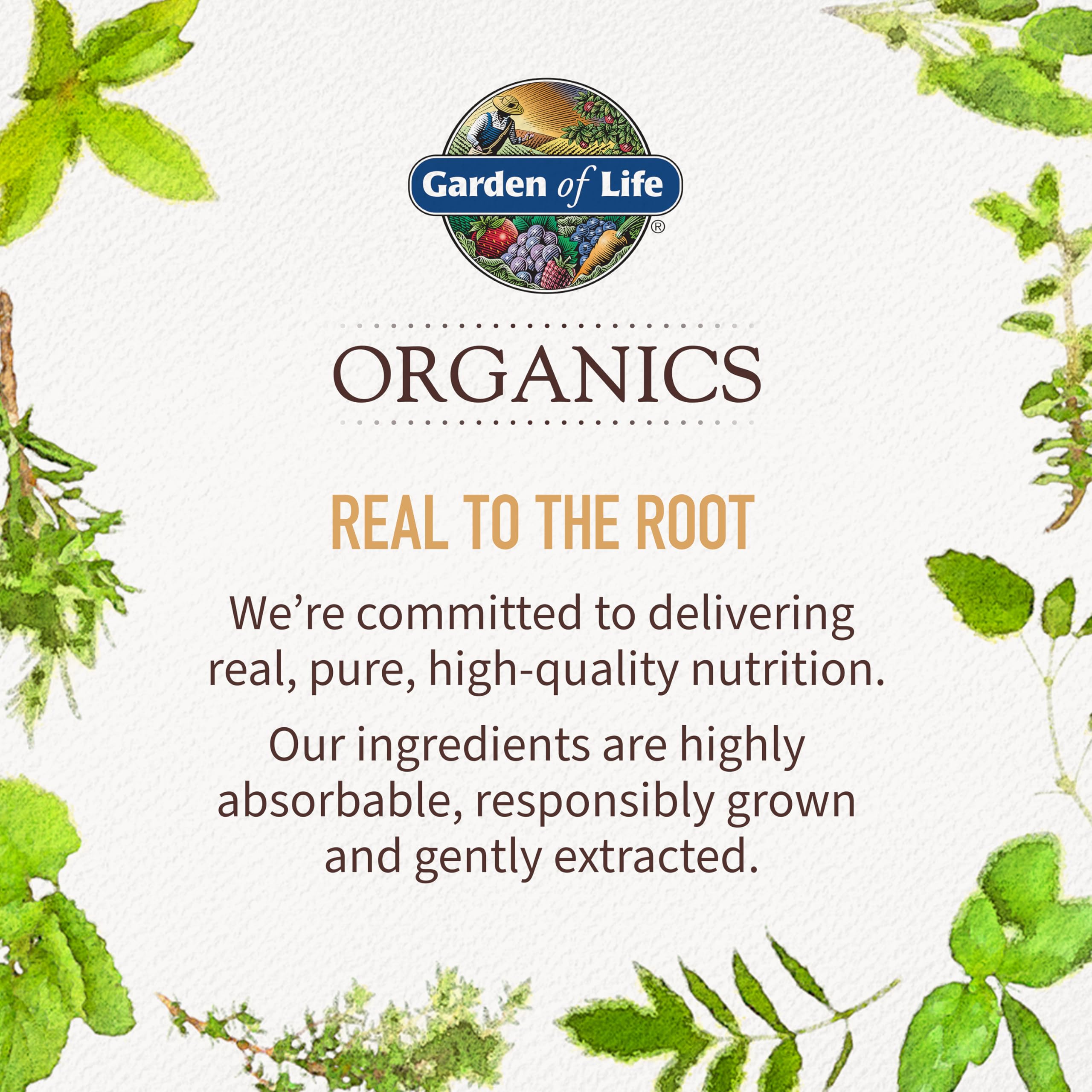 Certified organic and non-GMO Garden of Life Organics Men 40+ Berry packaging label.