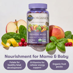 Garden of Life Organics Prenatal Gummies label and certifications display trust signals.