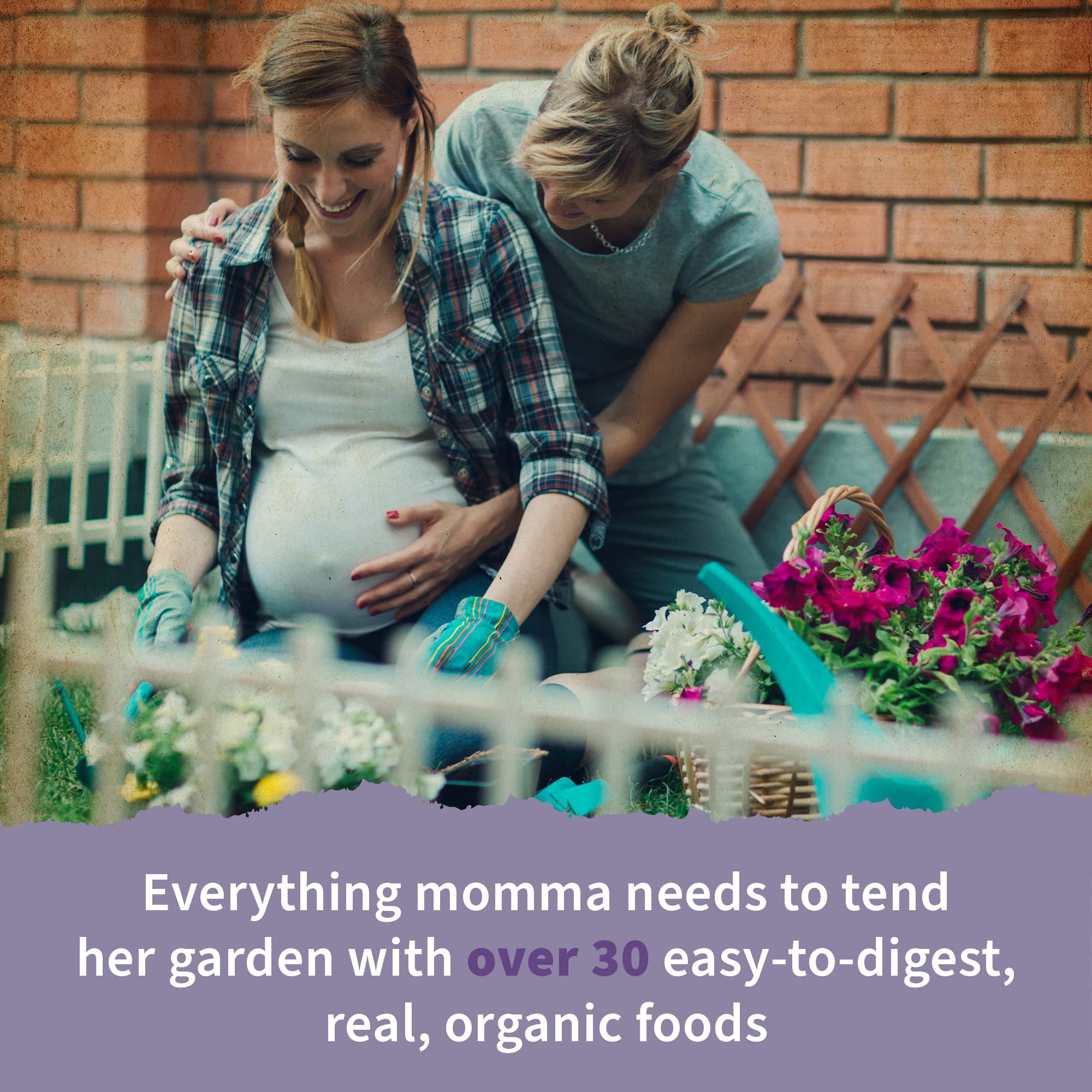 Garden of Life Organics Prenatal ingredient panel with organic fruits and herbs.