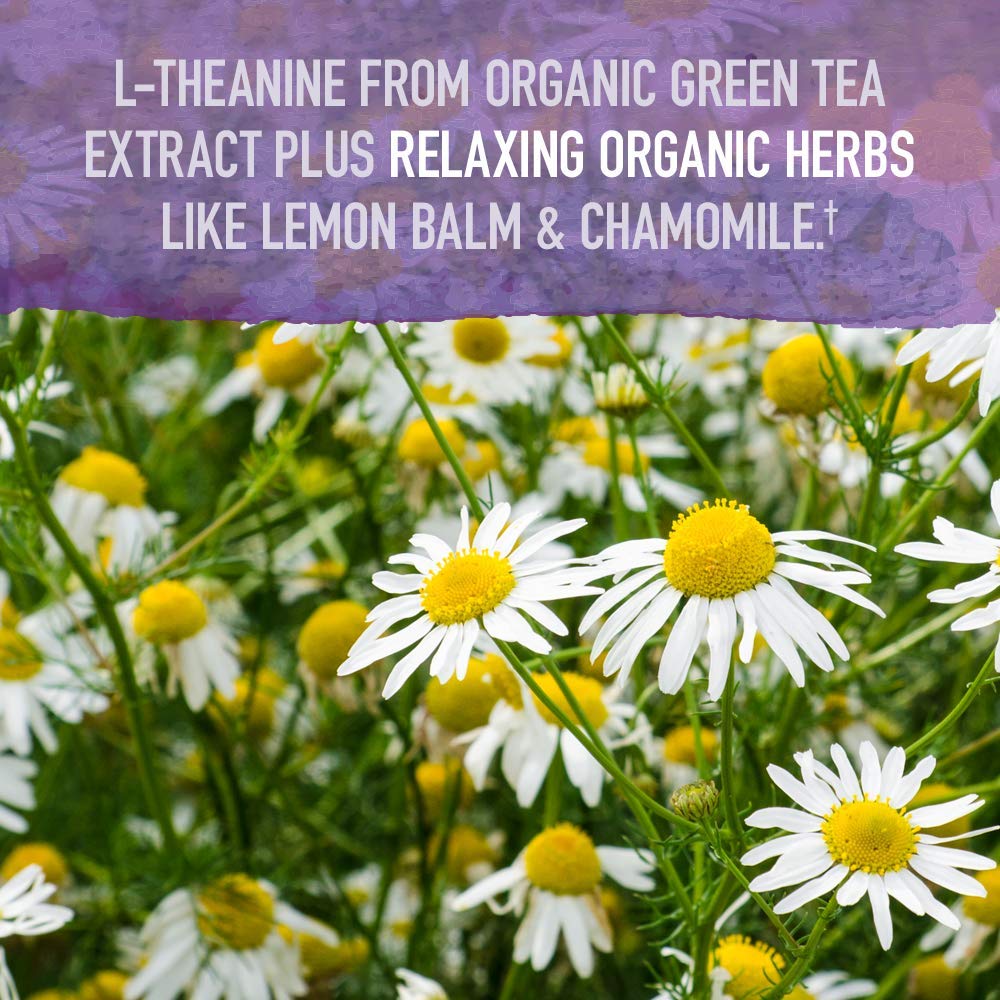 Garden of Life Organics Sleep Well lemon balm visual signals natural relaxing herbs