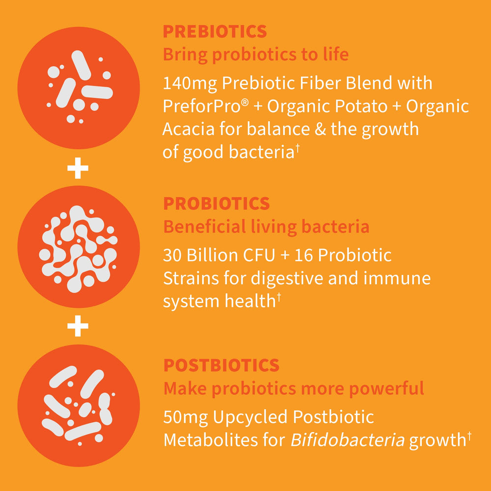 PreforPro postbiotics visual emphasizing postbiotic support and probiotic activity