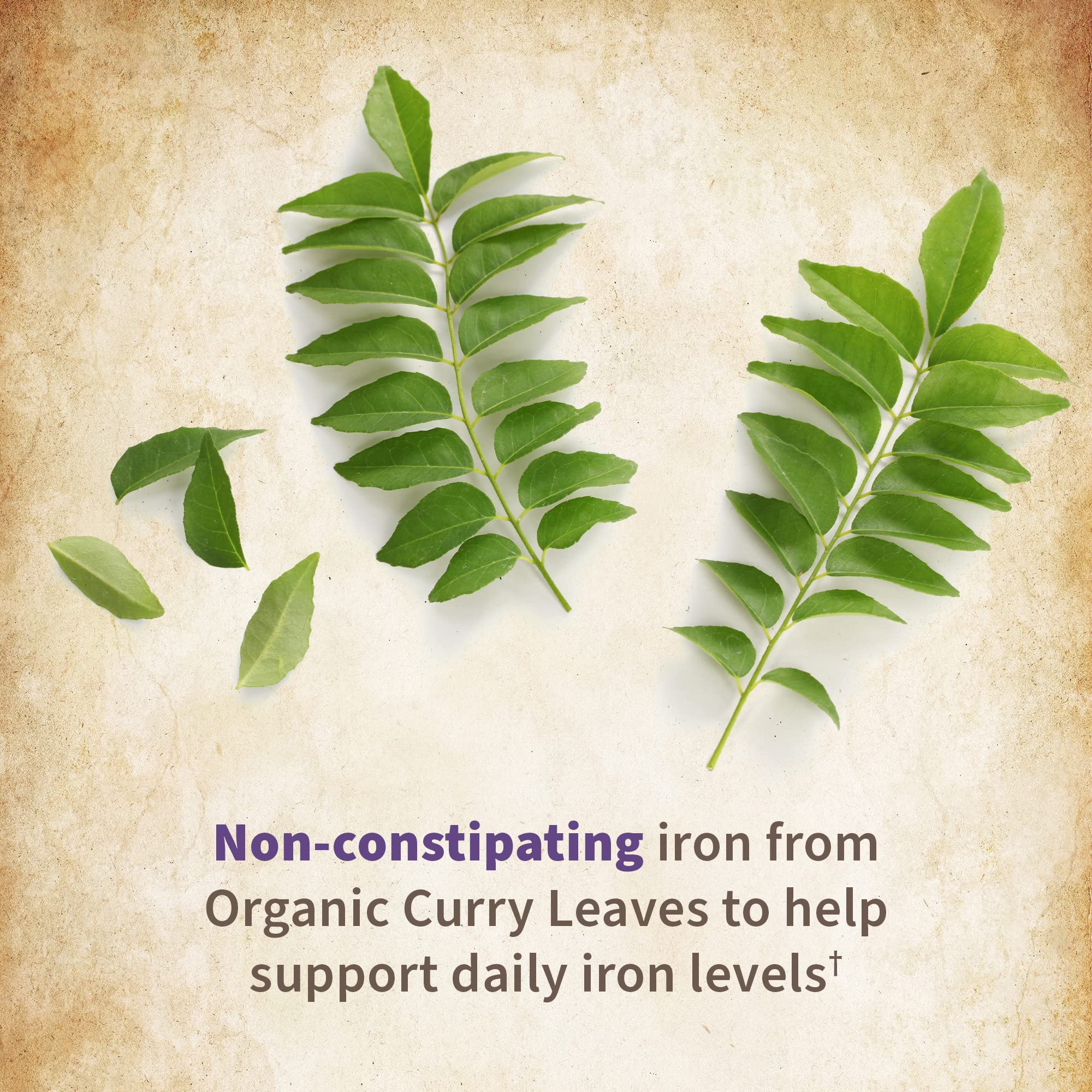 Garden of Life Prenatal non-constipating iron symbolizing gentle iron intake.