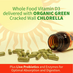 Probiotic and enzyme blend on packaging indicating digestive support