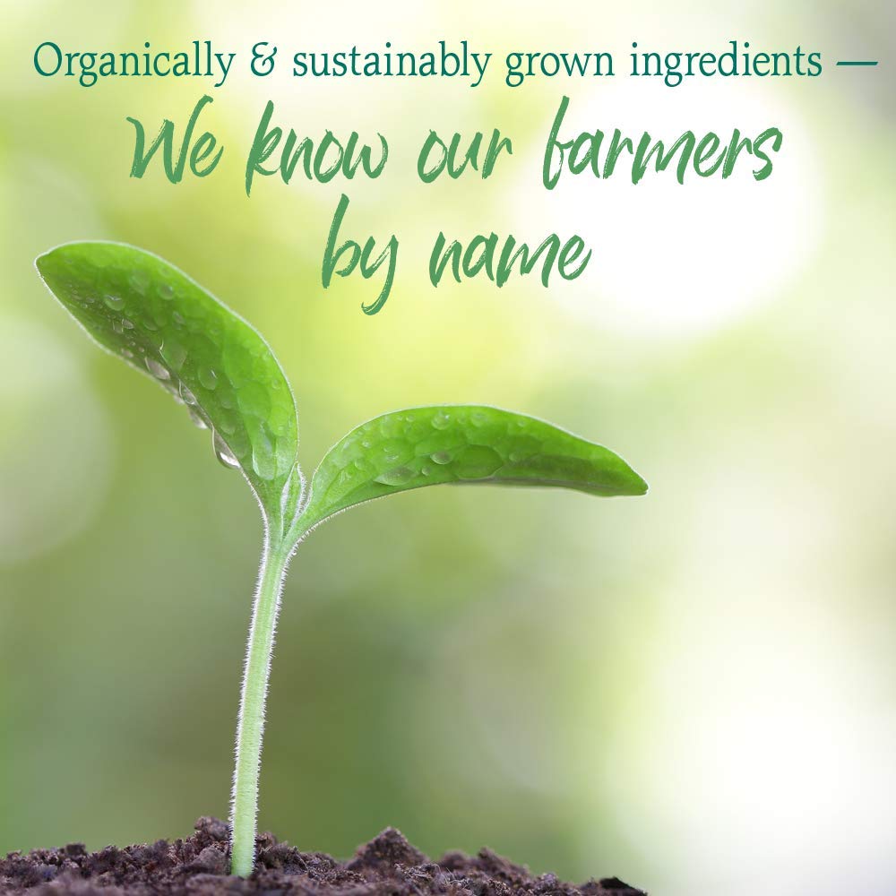 Garden of Life Energizer vegan dairy-free certification shown