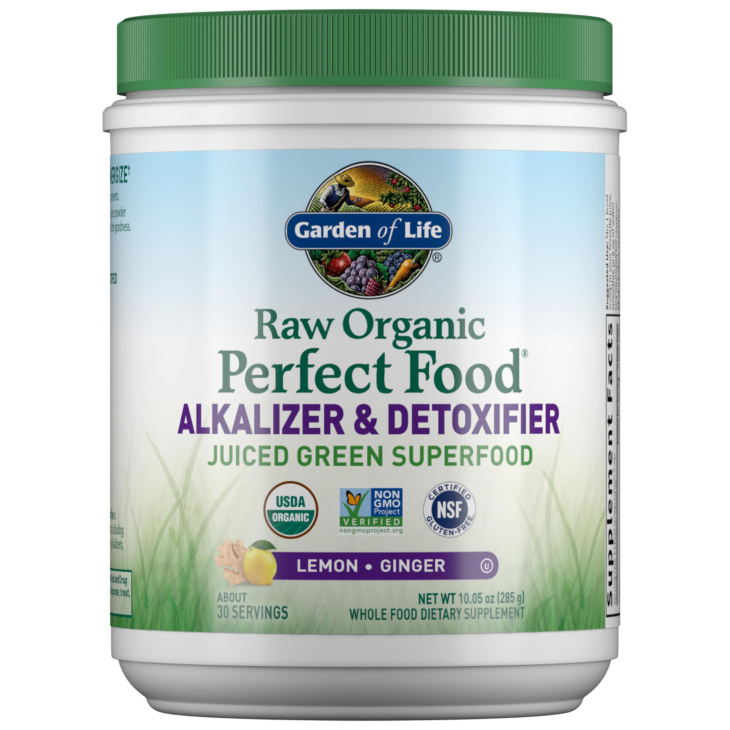 Garden of Life Raw Organic Perfect Food jar front—greens powder for daily vitality