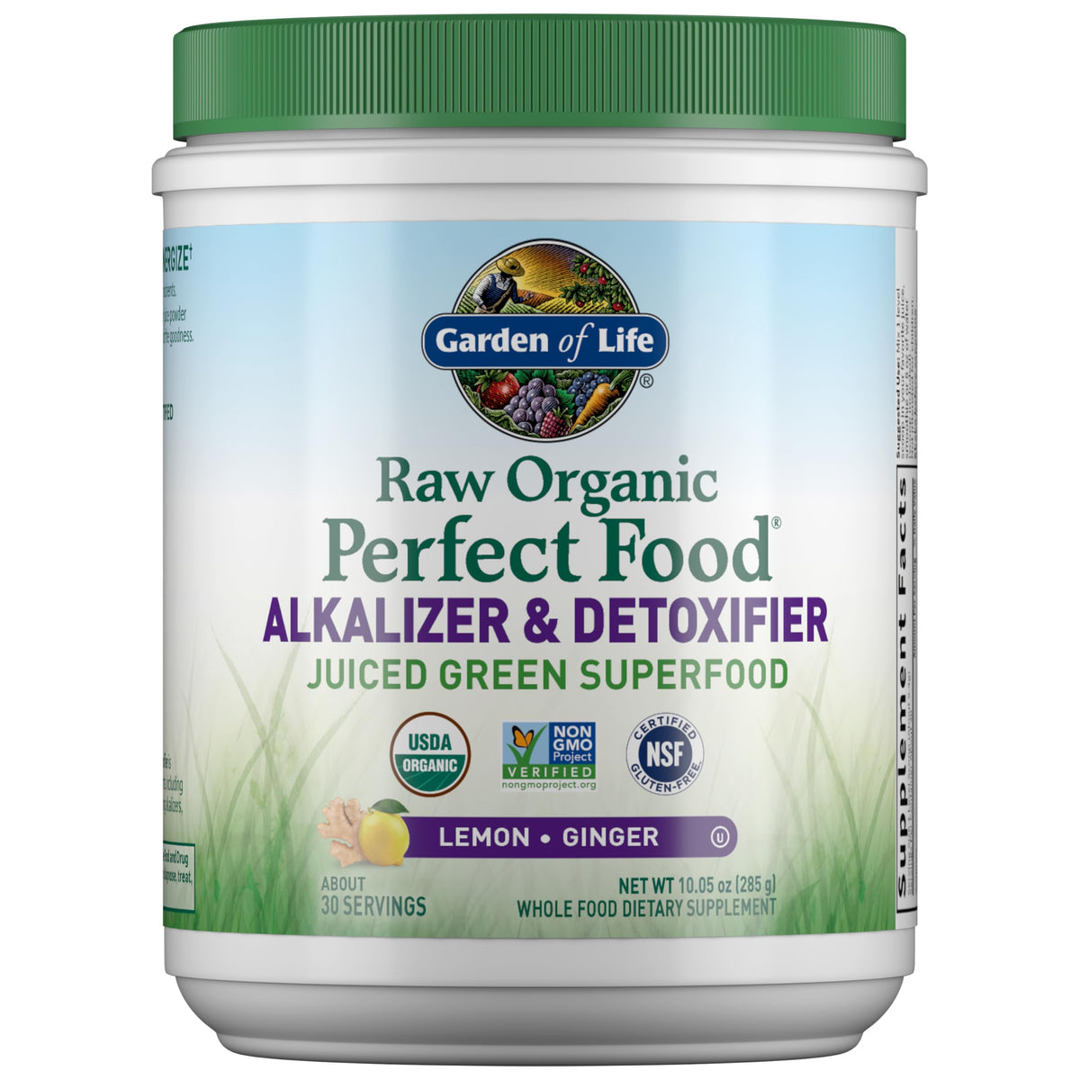 Garden of Life Raw Organic Perfect Food jar front—greens powder for daily vitality