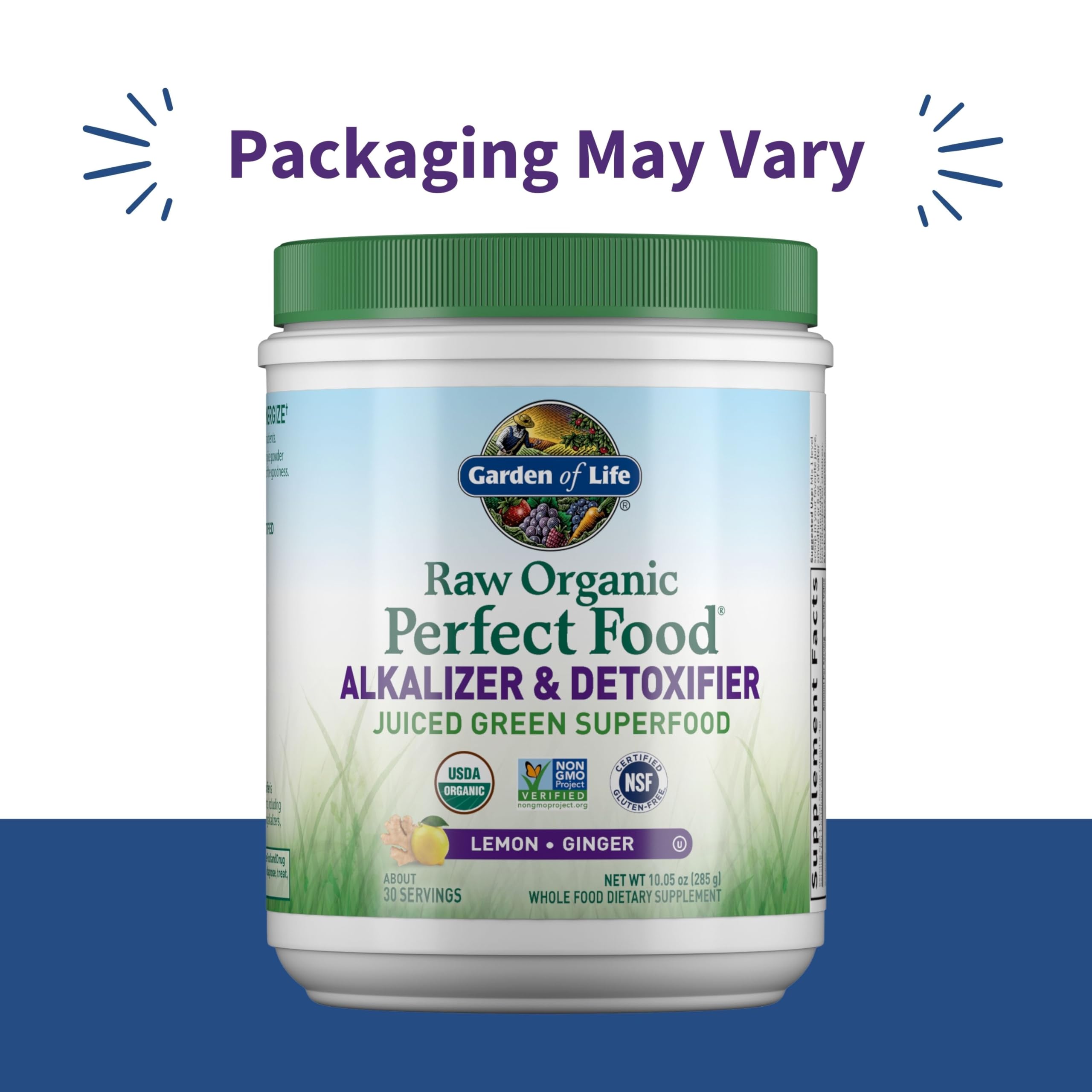 Garden of Life Raw Organic Perfect Food lemon-ginger powder—smoothie-friendly flavor