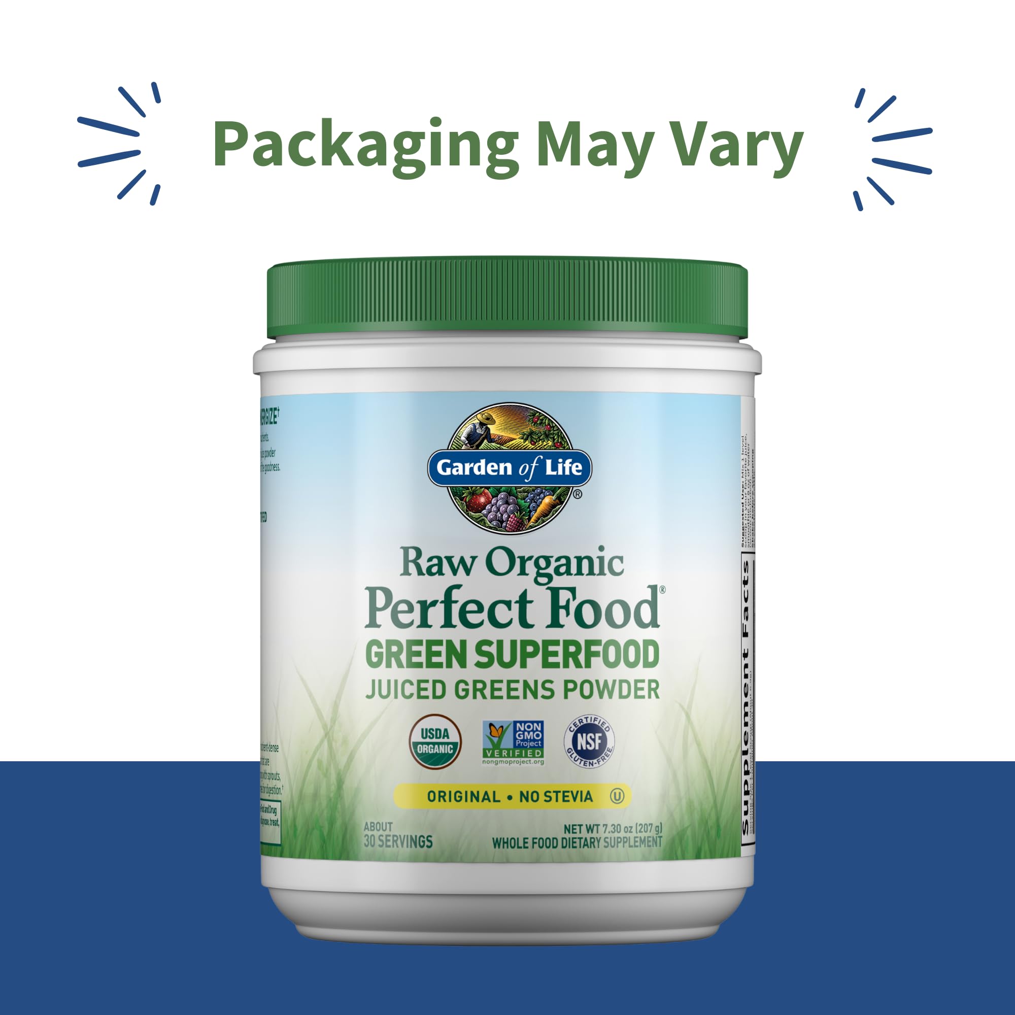 Garden of Life Perfect Food powder scoop ready for quick smoothies for a healthy boost.