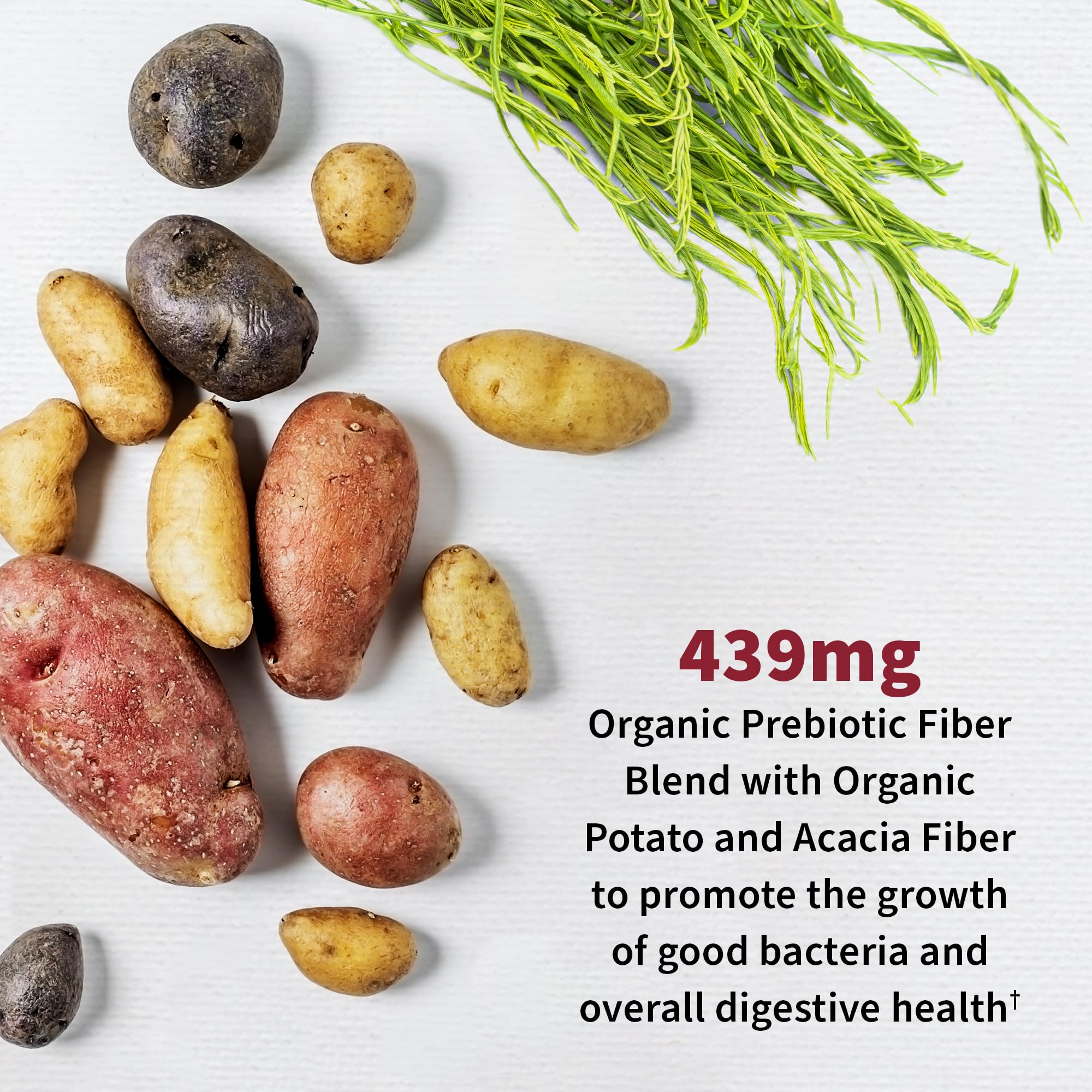 Shelf-stable packaging of Garden of Life Urinary Tract+