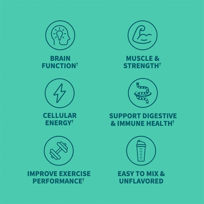 Garden of Life SPORT Creatine probiotics label signals digestion support with 1 billion CFU.