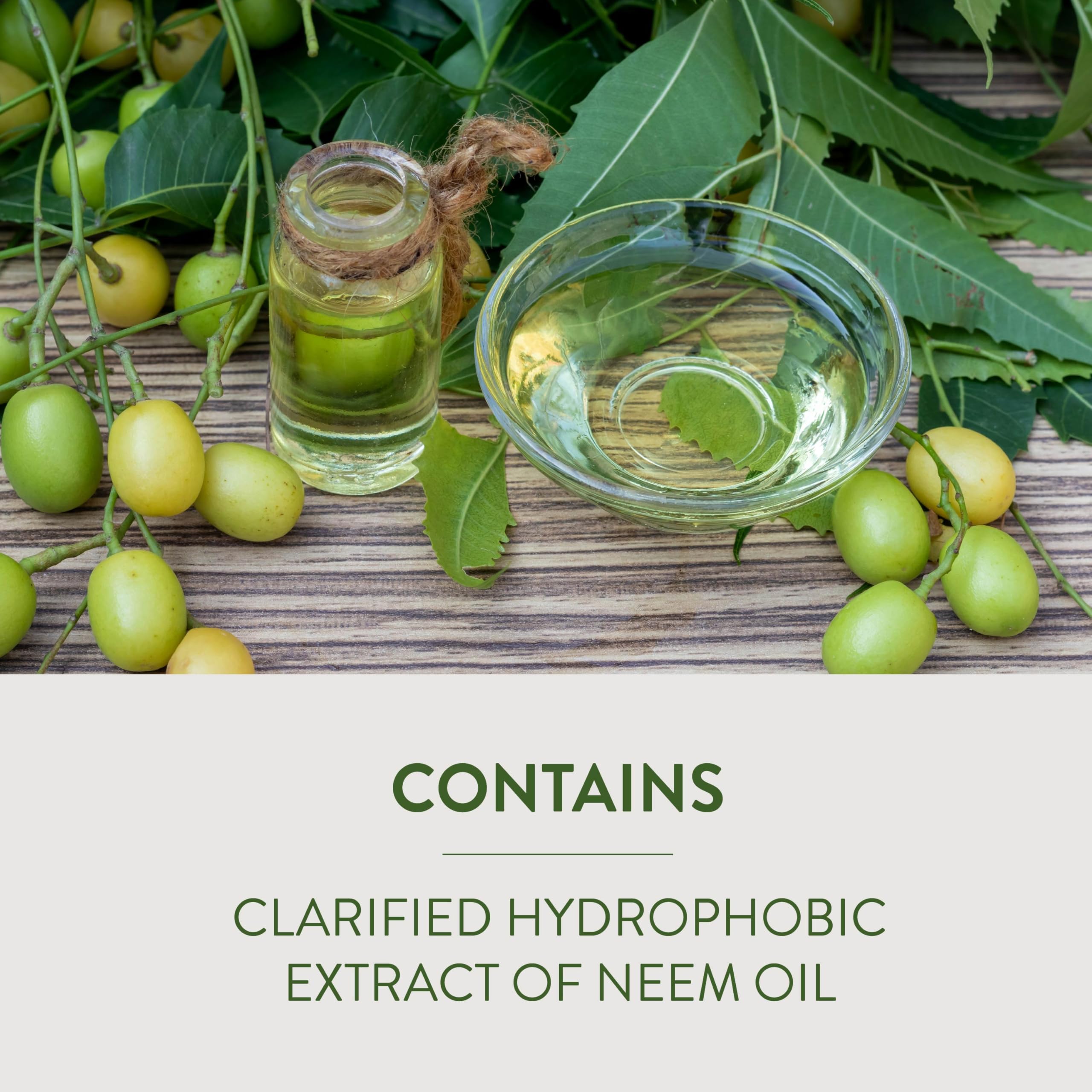 Garden Safe Fungicide3 label close-up showing neem oil and three-in-one formula.