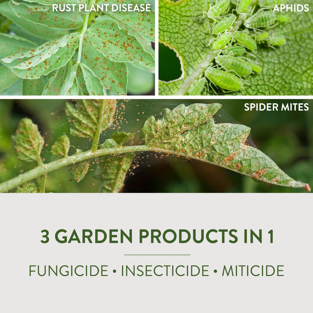 Spray coverage on leaves demonstrating complete tissue coverage.
