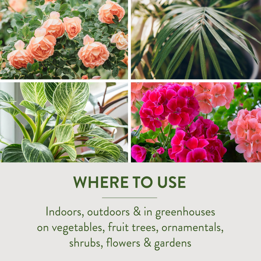 Garden Safe spray shown with vegetables and fruit trees for versatile organic use.