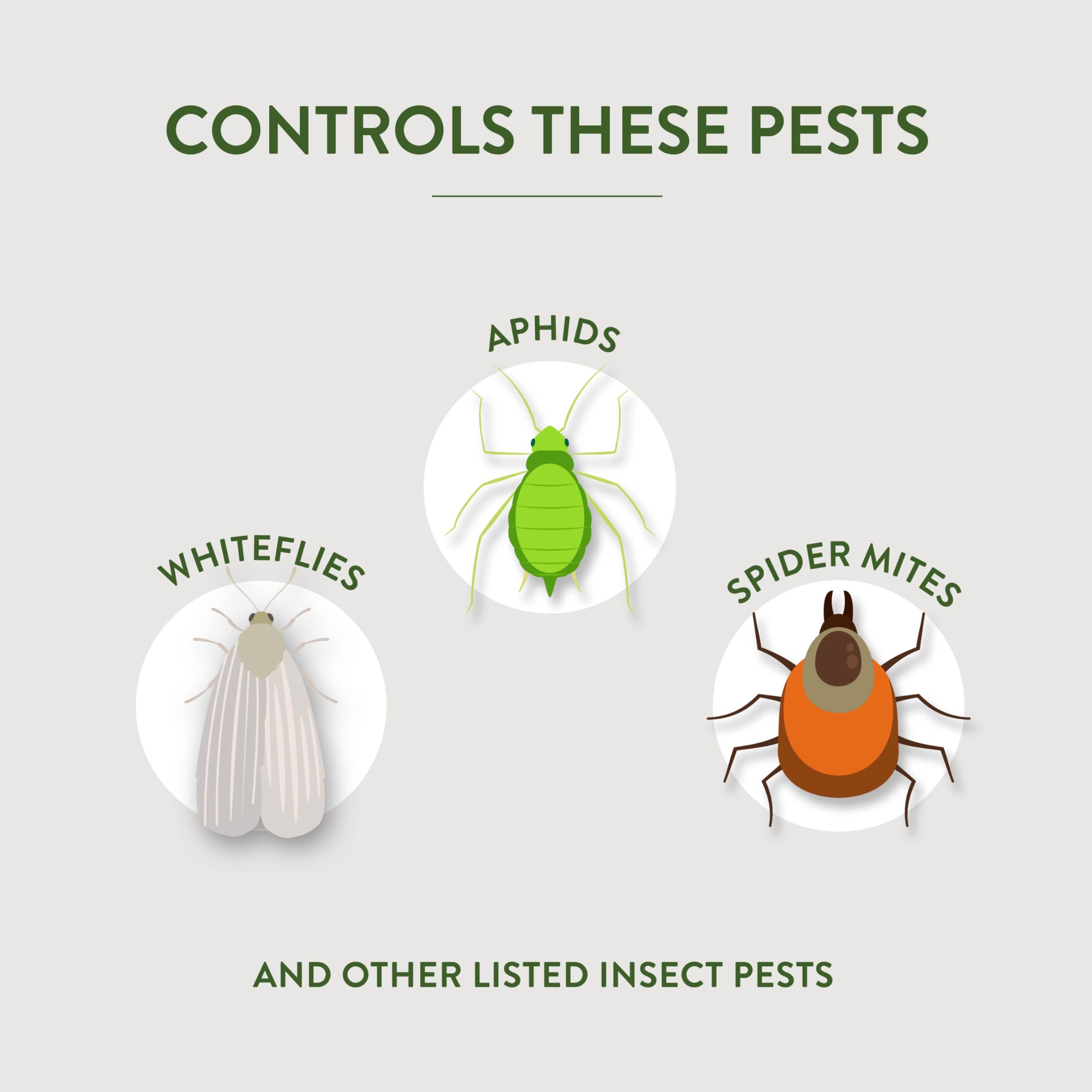 Roses and flowers leaves protected from common fungal diseases.