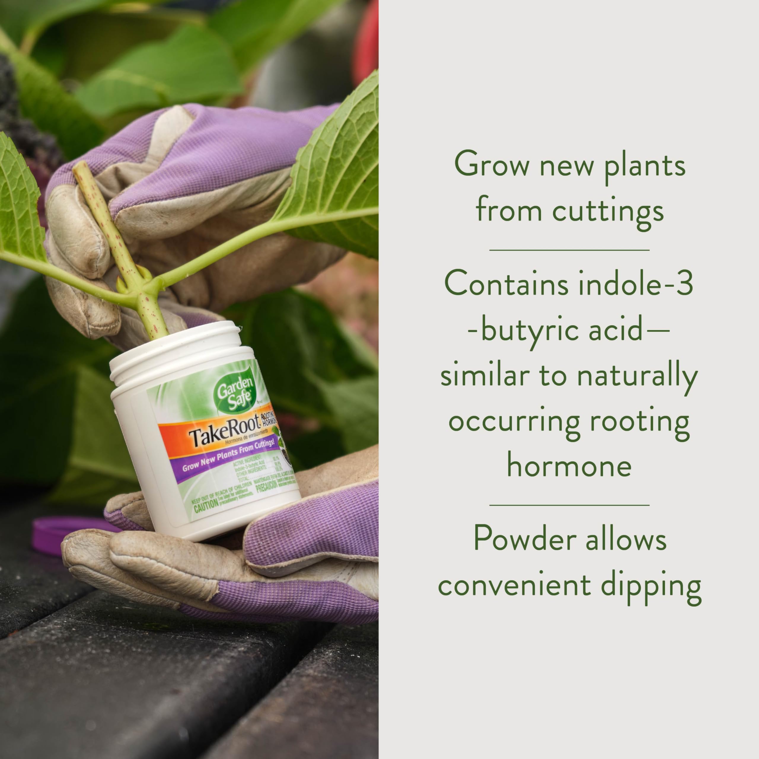 Garden Safe TakeRoot bottle shown for easy powder application.
