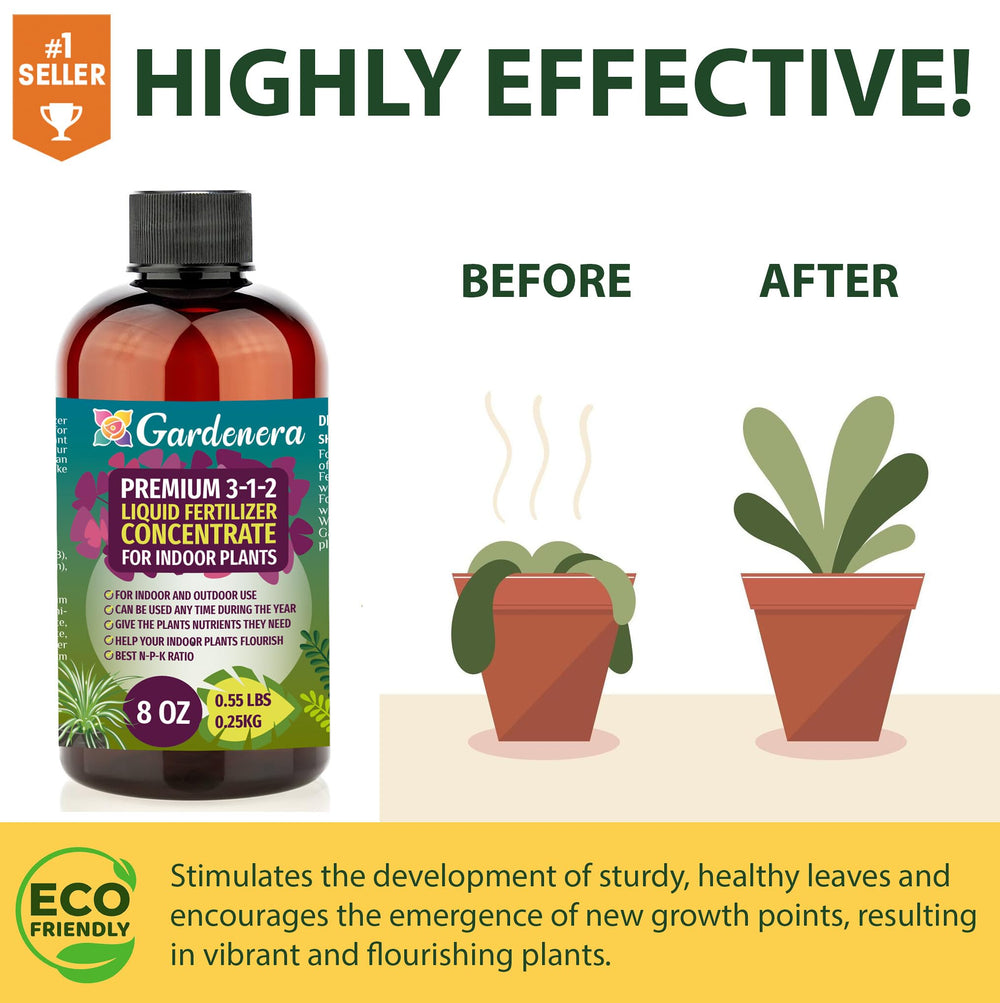 Indoor citrus tree bearing fruit benefits from Gardenera nutrient care.