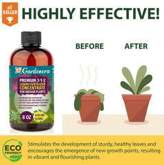 Indoor citrus tree bearing fruit benefits from Gardenera nutrient care.