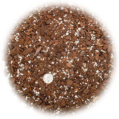 Close-up texture of Gardenera Monstera soil showing airy mix ingredients.
