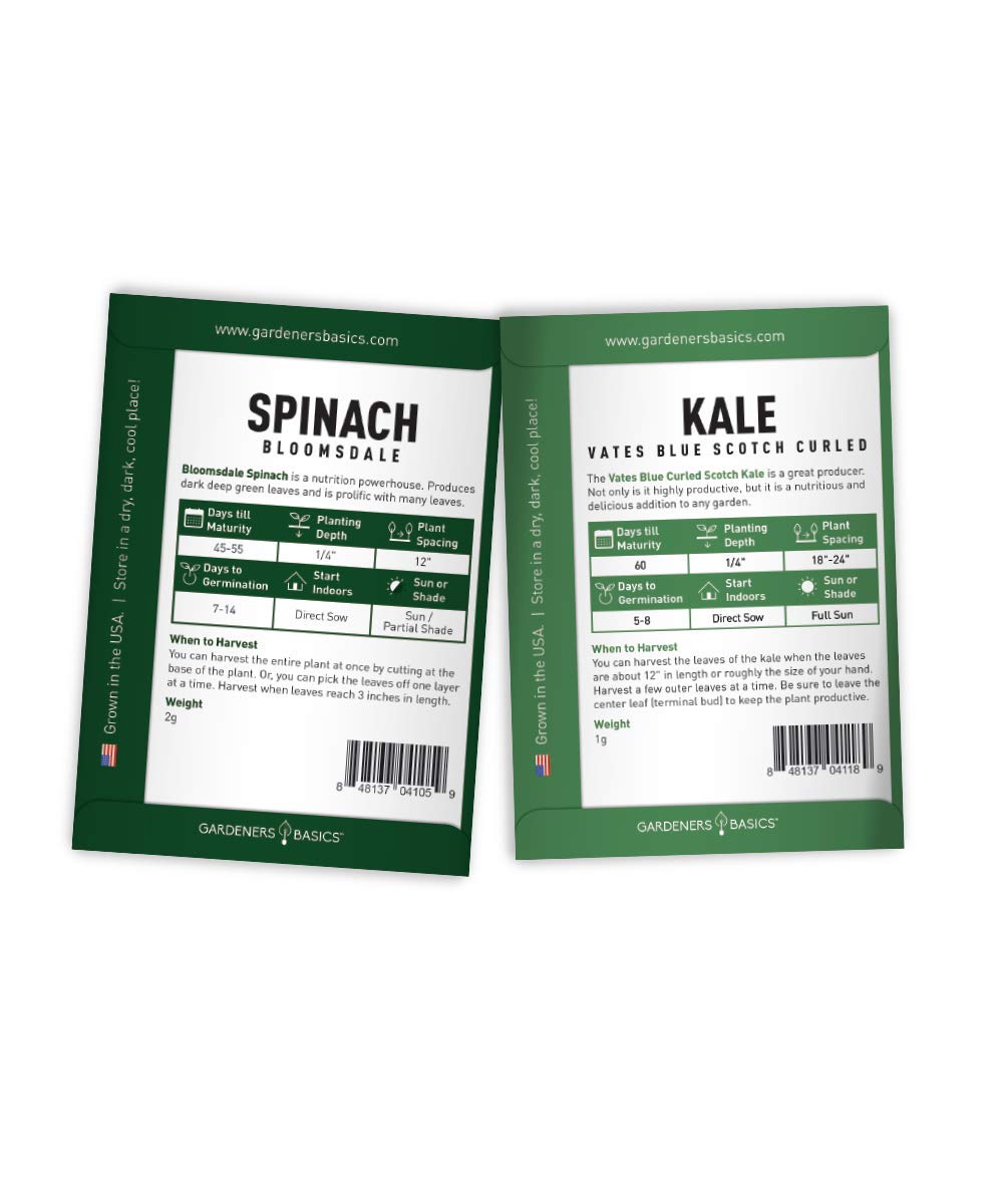 Gardeners Basics arugula roquette seeds offer peppery, versatile greens for salads.