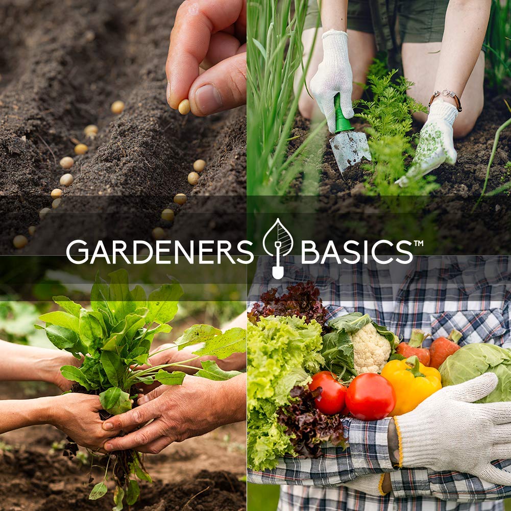 Gardeners Basics beginner-friendly varieties image demonstrates simplicity for new gardeners starting with a home garden