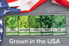 Gardeners Basics kale vates blue scotch seeds grow robust, curly greens.
