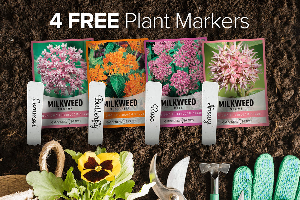 Gardeners Basics Milkweed Common seeds packet supports monarch caterpillars.
