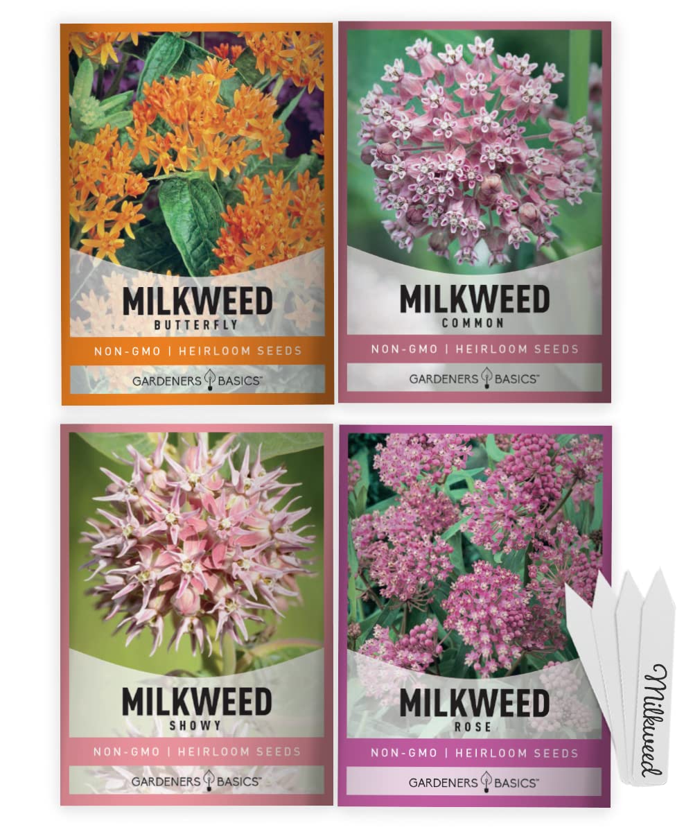 Gardeners Basics Milkweed Rose seeds packet for monarch-friendly pollinator gardens.