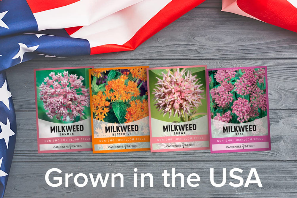 Gardeners Basics Heirloom Milkweed seeds for native wildflower gardens.