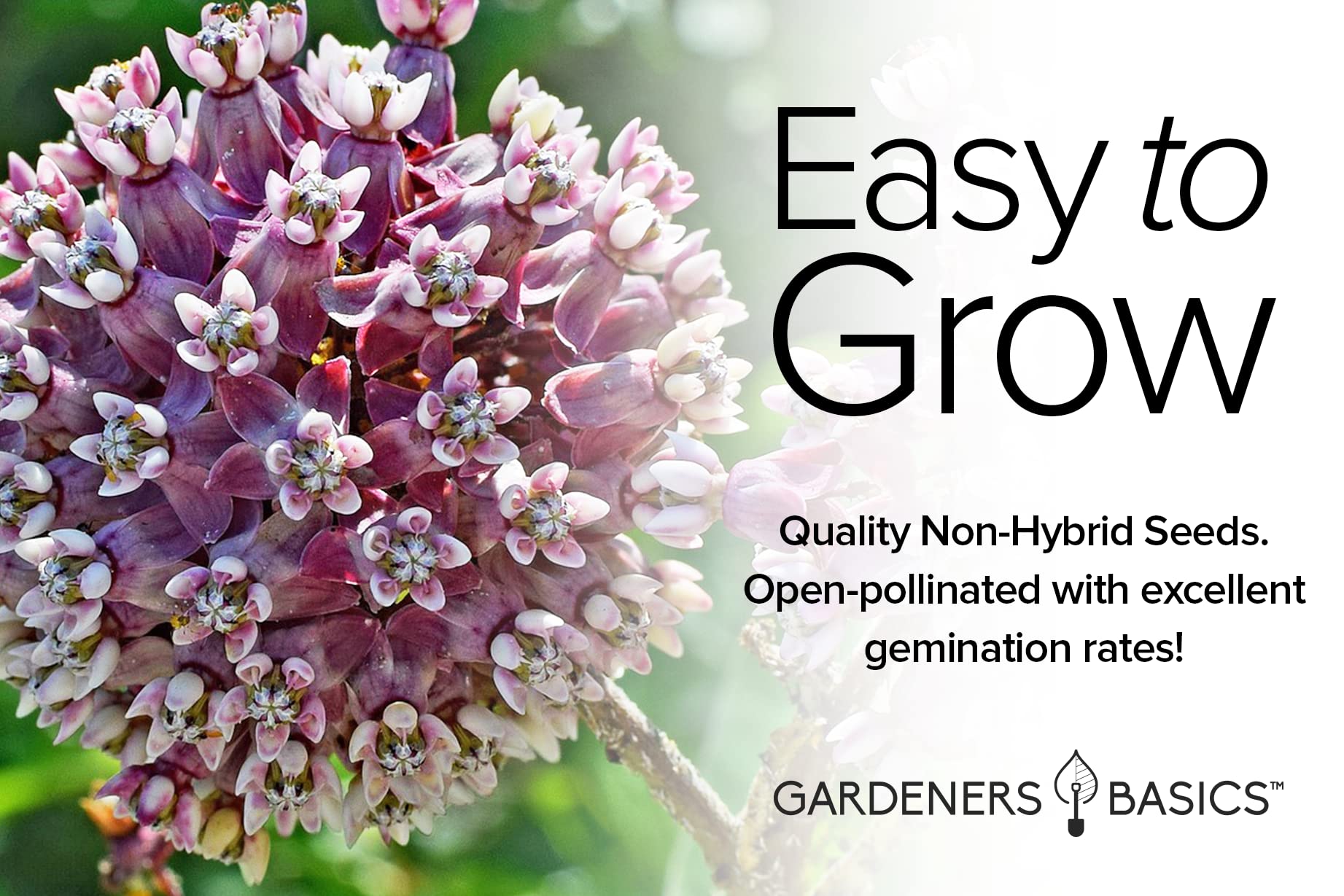 Gardeners Basics 400mg variety seeds with planting directions.